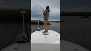 Inshore fishing Wilmington fishing inshorefishing redfish troutfishing wilmingtonnc [upl. by Retsek899]