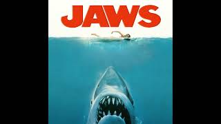 Jaws 1975 Review [upl. by Anielram]