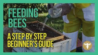 Feeding Bees A Step By Step Beekeeping for Beginners Guide [upl. by Skees]