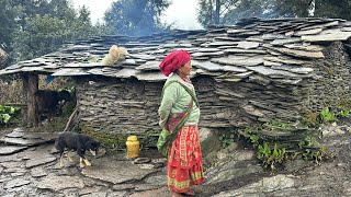 Nepali Mountain Village Life  Rainy Day  Organic Shepherd Food Cooking Live with beautiful Nature [upl. by Ita]