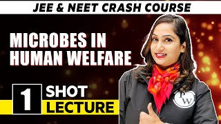 Microbes in Human Welfare  One Shot Lecture  CHAMPION  NEET CRASH COURSE 2022 [upl. by Annuahsal]