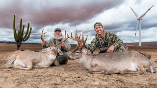 2 Bucks in 30 Minutes Massive 12 Year Old Whitetail  Hunting Big South Texas Bucks Pt 2 [upl. by Ailhat]