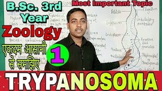 Structure of trypanosoma Morphology of Tripanosoma by Jaihind sirJaihind Mauryajhsirclasses [upl. by Howlan]