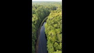 Drone video Liberty County flooding [upl. by Skilken]