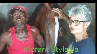 VETERAN JAMAICAN HORSE GROOM EULITE PITTISON ALIAS SHUUT [upl. by Nimrac]