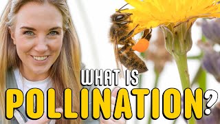 What is pollination  Plants for kids  Beekeeping with Maddie [upl. by Nirroc505]