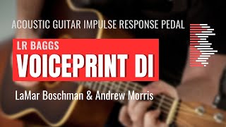 LR Baggs VoicePrint DI  Best Guitar Impulse Response Pedal [upl. by Di299]