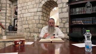 Morning Chassidus with Rabbi Shalom Pasternak [upl. by Wilow]