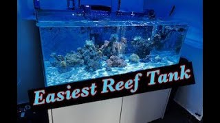 Easiest Reef Tank Ever  el acuario mas facil [upl. by Baese841]