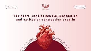 Physiology  The heart cardiac muscle contraction and excitation contraction coupling [upl. by Kline525]