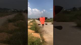 Thả diều sáo đại trà cõng giàn sáo gì đây các bạn vietnamkite kite xuhuong youtubeshorts [upl. by Koh]