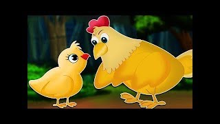 El cuento del pollito  Cuentos infantiles [upl. by Aitercal]