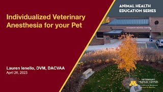 Individualized Veterinary Anesthesia for your Pet [upl. by Lhary]