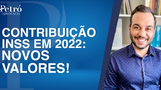 INSS 2022 NOVOS VALORES DE CONTRIBUIÃ‡ÃƒO SAIBA QUANTO PAGAR [upl. by Flynn]