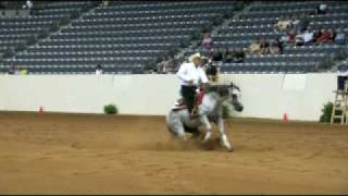 Kentucky Cup Reining Dell Hendricks and Starbucks Sidekick [upl. by Yentihw]