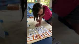 Using Waseca Reading program with a moveable alphabet [upl. by Aretina249]