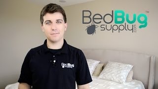 How to Get Rid of Bed Bugs in 4 Easy Steps [upl. by Ycniuq]