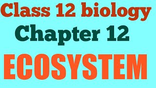 Ecosystem types of ecosystem  Class 12 Biology [upl. by Strawn]