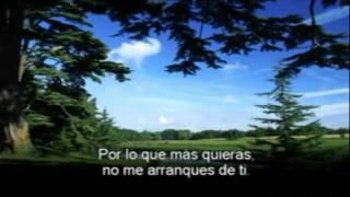 Camilo Sesto quotEl amor de mi vidaquot Karaoke [upl. by Ailb]