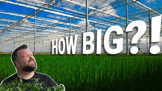 You Wont Believe How Big This Commercial Greenhouse Is [upl. by Grearson]