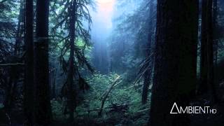 Carbon Based Lifeforms  Interloper Full Album [upl. by Dulce969]