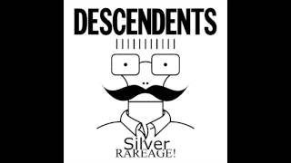 Descendents  Rareage Full Album [upl. by Enilatan899]