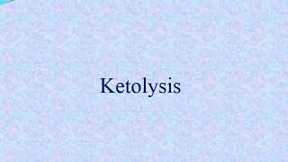 Ketone bodies metabolism By Dr  Mohamed A Taher [upl. by Jammin]