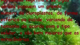 Biologia Cloroplastos [upl. by Mencher]