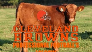 The Cleveland Browns  Professional Footballs Lolcow [upl. by Akeryt]