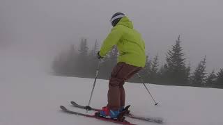 2019 Ski Test  Atomic Vantage X 80 [upl. by Korry]