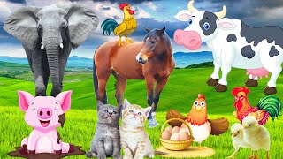 Funny wild farm animal sounds cat pig elephants dog cow duck monkey Tiger [upl. by Ailaza]