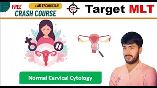 44 Cytology class3  Normal cervical cytology AIIMS PGIMER DSSSB RML sgpgi 2024 [upl. by Iana693]