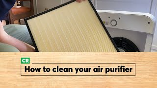 How to Clean an Air Purifier  Consumer Reports [upl. by Esinyt342]