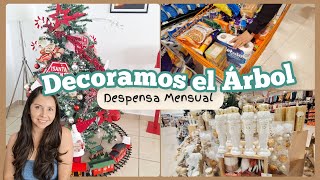 Ya Decoramos el árbol 🎄Despensa Mensual 🛒Viendo Ofertas de Buen Fin [upl. by Sudnor]