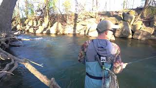 Fly Fishing with Euro Nymphing Techniques on a Small Stream [upl. by Eilyak]