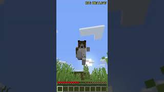 Speedrunning Every Item In Minecraft Day 104222 shorts minecraft speedrun [upl. by Ttiwed]