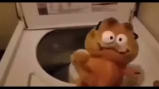 garfield in the washing machine [upl. by Euseibbob138]