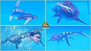 New Prehistoric Marine Species Pack All Animations amp Other Interactions 🦖 Jurassic World Evolution 2 [upl. by Nyrb]