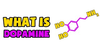 What is Dopamine  Explained in 2 min [upl. by Aiuqal]