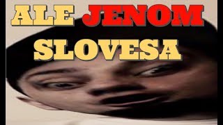 DESADE  SÁDISMUS ALE JENOM SLOVESA [upl. by Einned]