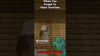 POV Forgetting to place torches… minecraft minecraftshorts minecraftmemes repost [upl. by Adeuga]