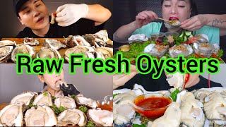 RAW FRESH OYSTERS EATING ASMR  ASMR MUKBANG  SEAFOOD ASMR [upl. by Prinz]