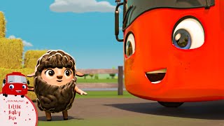 Buster and the Baa Baa Rainbow Sheep  Red Buster  Bus Cartoon  Fun Kids Cartoon Video [upl. by Ronel664]