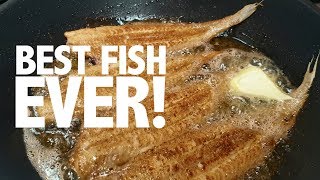 How to cook and prepare the perfect Dover sole  Classic a la meunière recipe [upl. by Glanti]