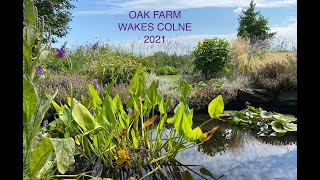 Oak Farm Wakes Colne  Summer 2021 [upl. by Anauqaj]