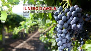 Nero DAvola  Sicilia [upl. by Schober]