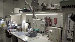 New EfacecFEUP laboratory has been inaugurated [upl. by Paugh]