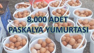 8000 ADET PASKALYA YUMURTASI Metin2 GamePlay [upl. by Hopfinger]