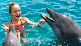 We Play with Dolphins on a Tropical Island Kids Fun TV [upl. by Phelips]