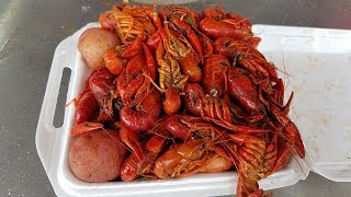 Cajun Crawfish Festival In Louisiana 2018 [upl. by Neroc813]